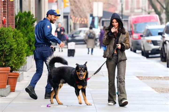 Emily Ratajkowski fans in hysterics as they spot her dog gazing at her bum with its tongue lolling out – The US Sun