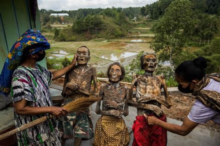 Engineer, 24, quit life in Norway to live with Indonesian tribe surviving on monkeys and bats for food – The US Sun