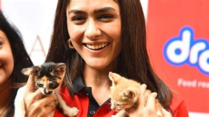 Mrunal Thakur hosts food donation drive for stray animals