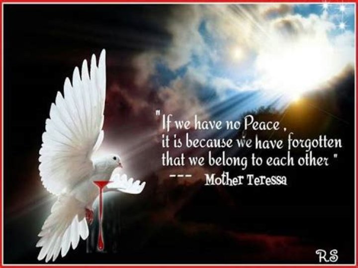 Eternal Peace Quotes: Finding Serenity In Words