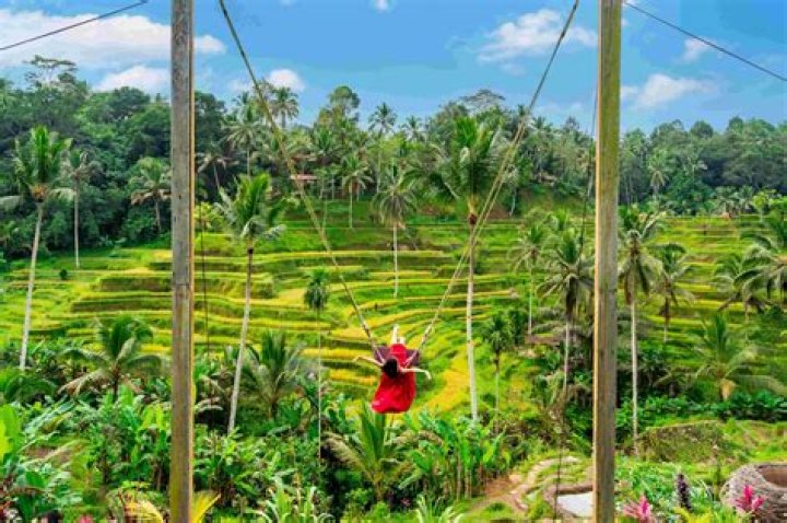 Eye-popping picture of Bali tourist wearing G-string bikini in a shop divides the internet – The US Sun