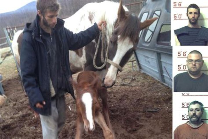 Farmers had sex with horses, goats, dogs and a cow and forced child to take part in abuse