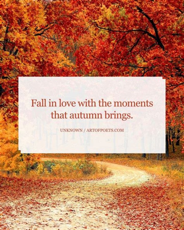 First day of Autumn season quotes explained