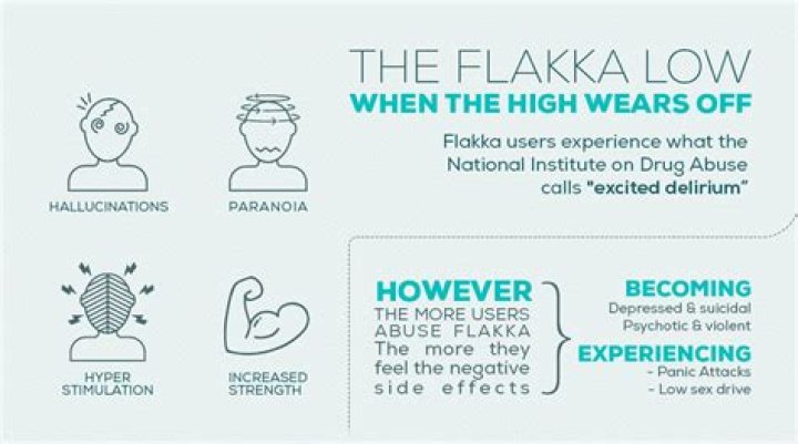 The Fascinating World Of Flocka Wolves: Everything You Need To Know