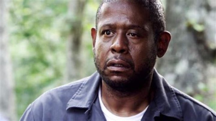 Understanding Forest Whitaker's Eye Condition: A Journey Through Strabismus