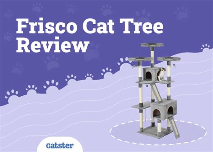 Frisco Cat Tree and Condo Won’t Be an Eyesore in Your Home
