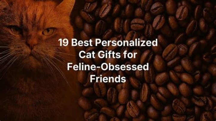 Gifts for Cat Lovers: Cute Gifts for Your Cat-Obsessed Friend