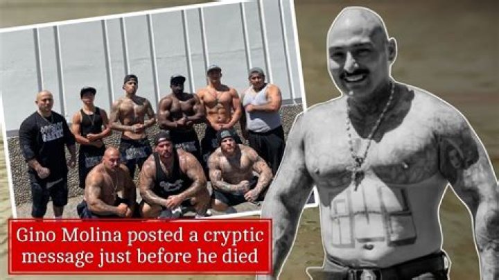 Unraveling The Mystery Of The Gino Molina Accident