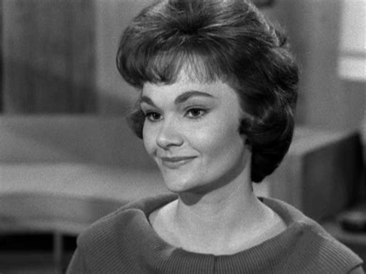 Exploring The Life And Legacy Of Gloria Talbott In Perry Mason