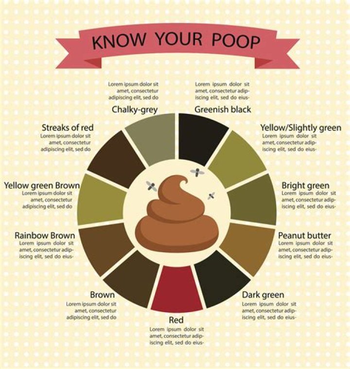 What Causes Green Poo? 12 Reasons Your Stool Is Green