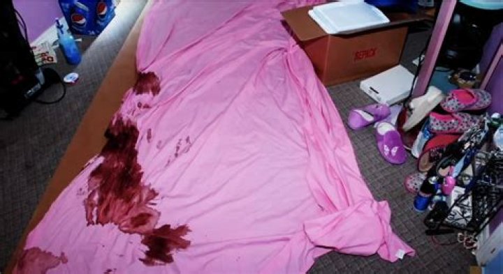 Gypsy Rose Crime Scenes: Unraveling The Mystery Behind A Tragic Tale
