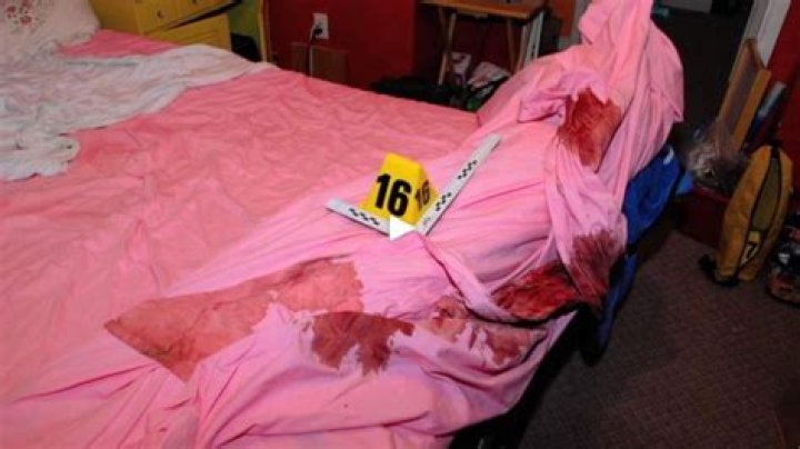 Unveiling The Enigma: Gypsy Rose Crime Photos