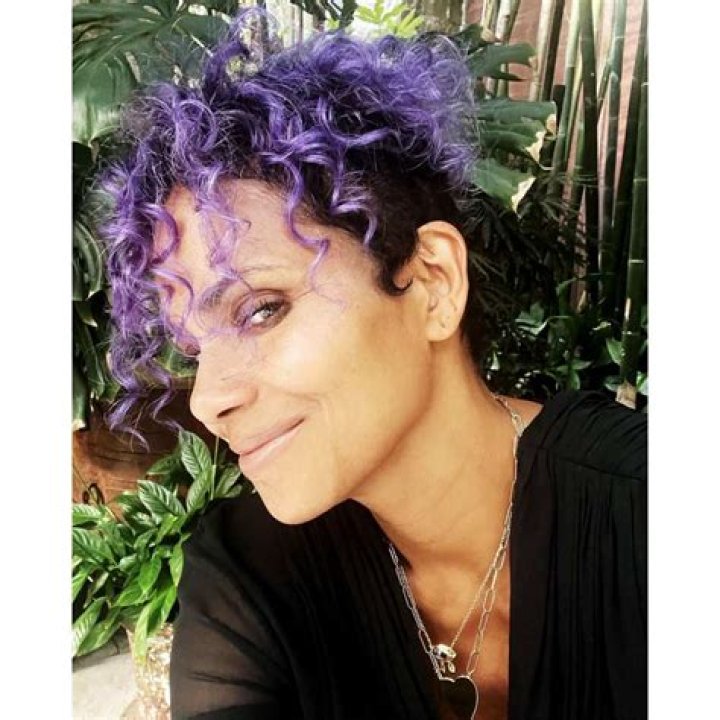 Halle Berry Debuts Curly Purple Haircut: Photo