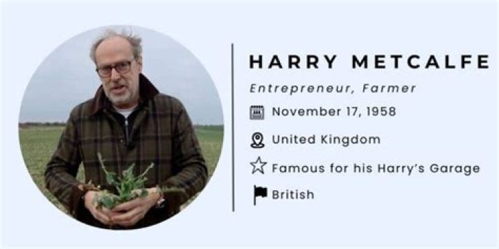 Harry Metcalfe Net Worth, Income, Salary, Earnings, Biography, How much money make?