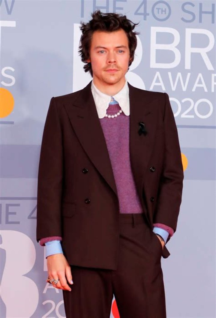 Harry Styles: I dashed into traffic to get away from gang of robbers in Valentine’s Day mugging – The US Sun