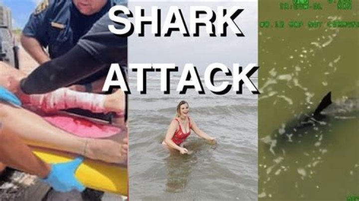 Has there ever been a shark attack in South Padre Island?