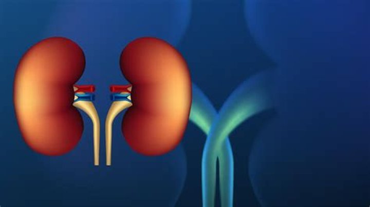 High Blood Pressure, back pain and others warning signs that your kidneys are in trouble – India TV