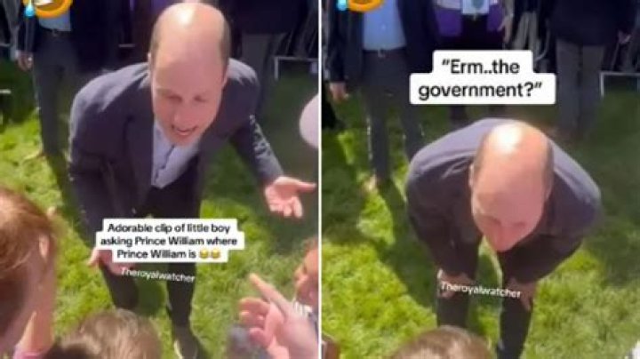 Hilarious moment little boy confuses Prince William for 'the government' during sweet meeting
