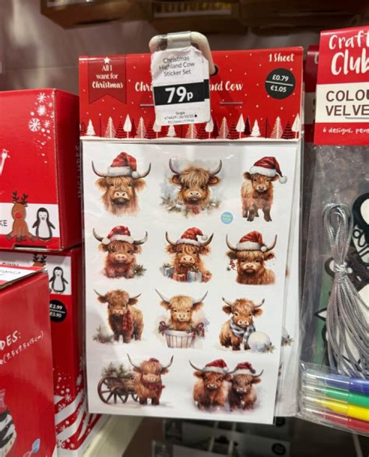 Home Bargains are selling storage box stickers just like Stacey Solomon’s for 79p – The US Sun