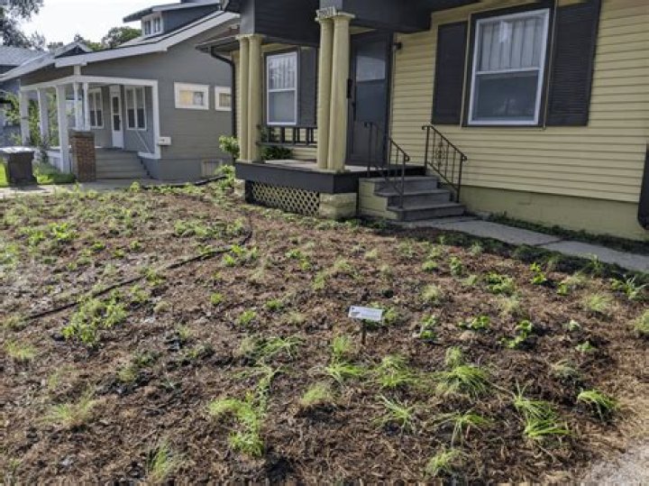 Homeowner Killed on Lawn Mower by Drunk Driver: Deputies