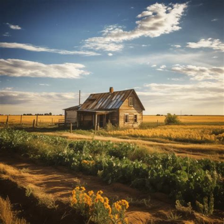 Protect Your Home: Oklahoma Homestead Exemption Explained