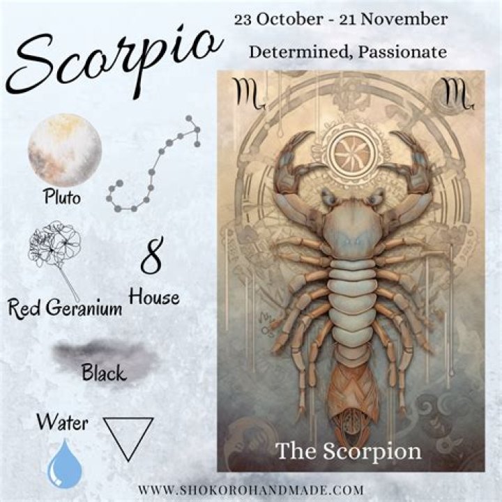 Scorpios will get success in all work, know about other zodiac signs – India TV