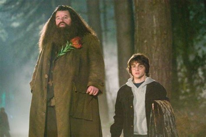 Quick Answer: How Did They Make Hagrid Look So Big