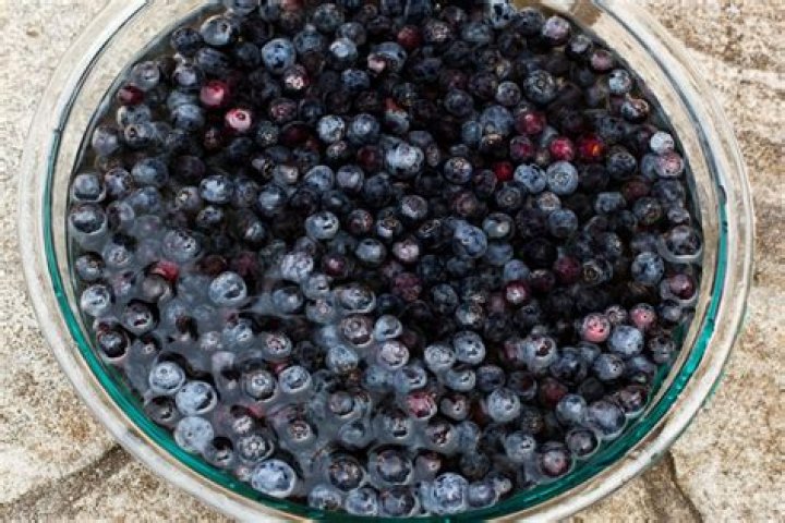 How do I rehydrate dried blueberries?