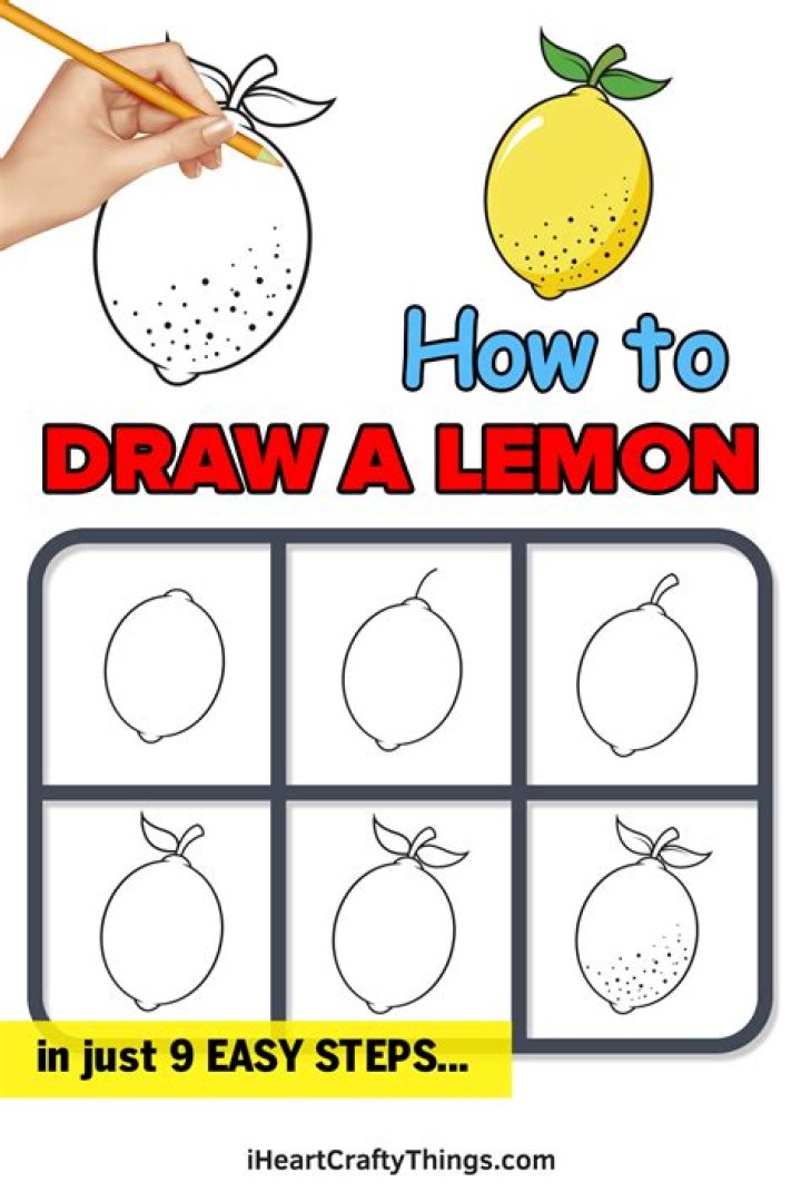 How Do You Draw A Lemon Step By Step