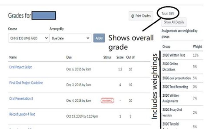 Quick Answer: How Do You Exempt A Grade In Canvas