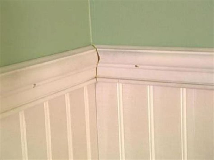 Quick Answer: How Do You Install Wainscoting
