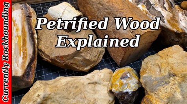 How do you make petrified wood shine?