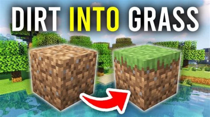 Question: How Does Grass Spread Minecraft