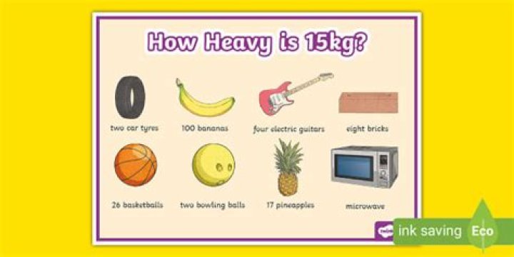 Quick Answer: How Heavy Is A Donkey