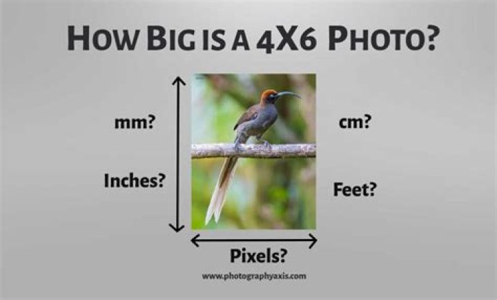 How Many Inches In Pixels