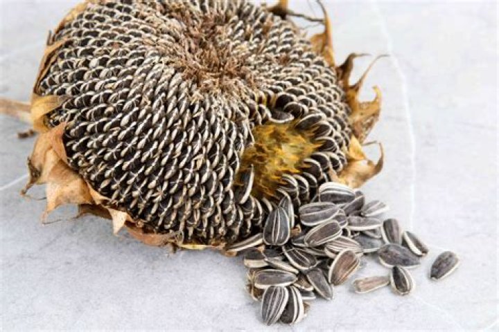 Quick Answer: How Many Sunflower Seeds In A Sunflower