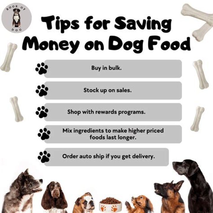 How Much Does Dog Food Cost Per Month