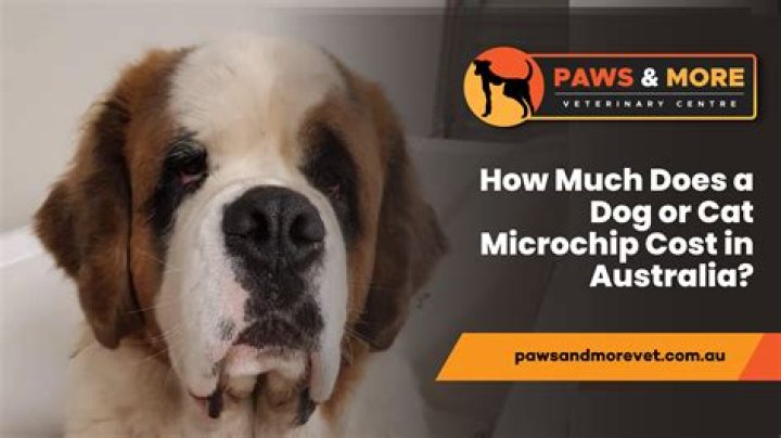 How Much Does It Cost To Close Up A Window