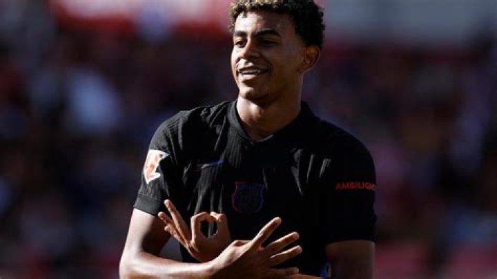 How Much Weight Can A Yam Handle? - Comprehensive Guide