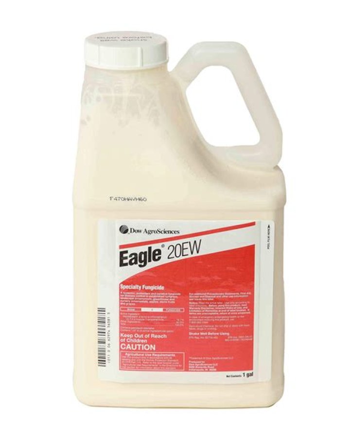 Quick Answer: How Much Eagle 20Ew Per Gallon