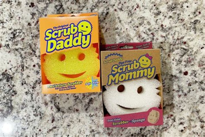 How Much Money Did Scrub Daddy Make
