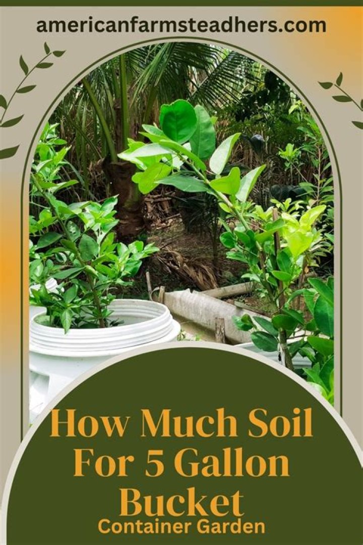 Question: How Much Soil To Fill 5 Gallon Pot