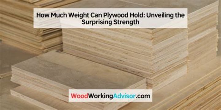 How Much Weight Can 1 2 Plywood Hold