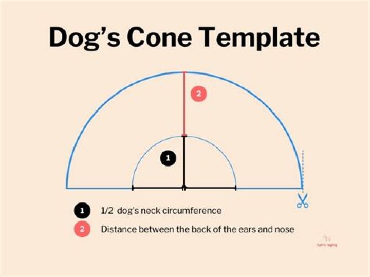 How T0o Make A Diy Dog Cone