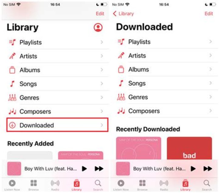 Question: How To Add Downloaded Music To Itunes Library