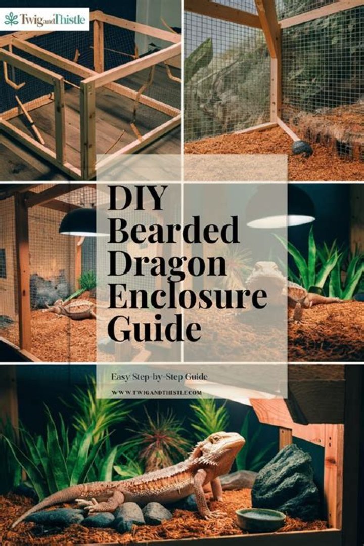 Quick Answer: How To Build A Diy Bearded Dragon Enclosure