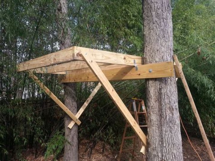 How To Build A Treehouse Between 2 Trees