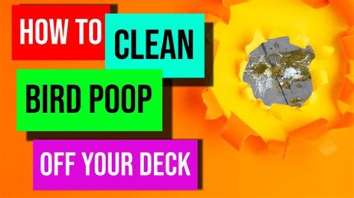 How To Clean Bird Poop Off Wood Deck