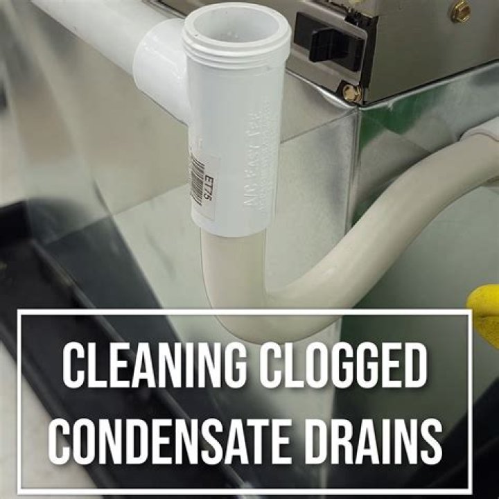 Quick Answer: How To Clean Out Dishwasher Drain Line