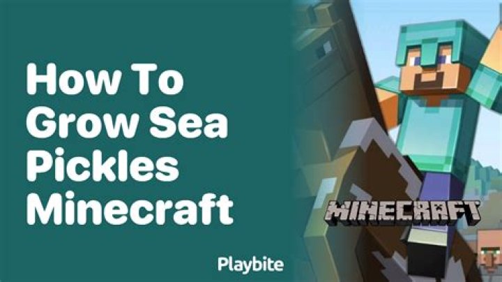 Question: How To Craft Sea Pickles In Minecraft
